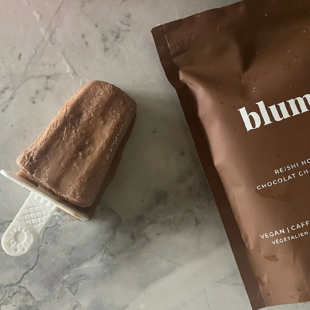 A chocolate popsicle on a white stick lies on a marble surface next to a brown package with white text. The package reads Reishi Hot Chocolate, and mentions vegan and caffeine-free attributes.